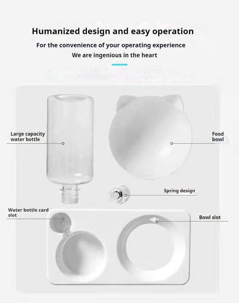 Tilted Pet Water and Food Bowl