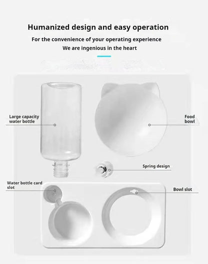 Tilted Pet Water and Food Bowl