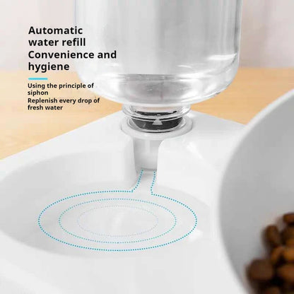 Tilted Pet Water and Food Bowl