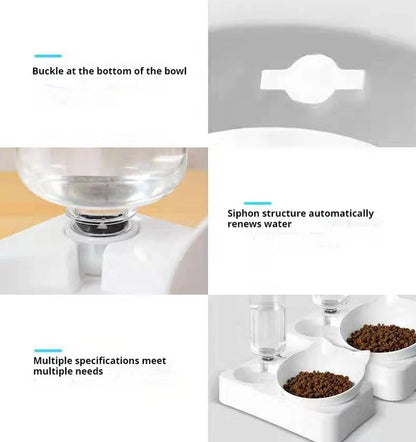 Tilted Pet Water and Food Bowl