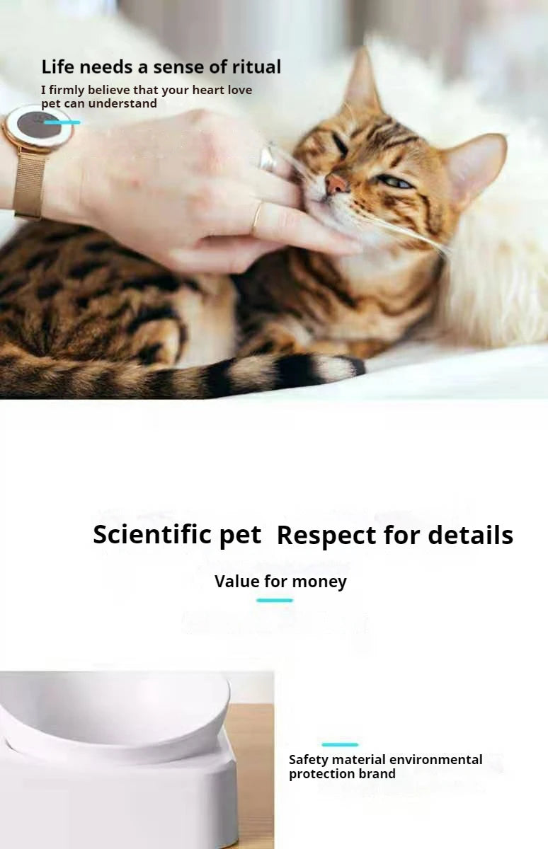 Tilted Pet Water and Food Bowl