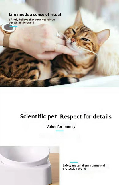 Tilted Pet Water and Food Bowl