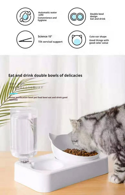 Tilted Pet Water and Food Bowl