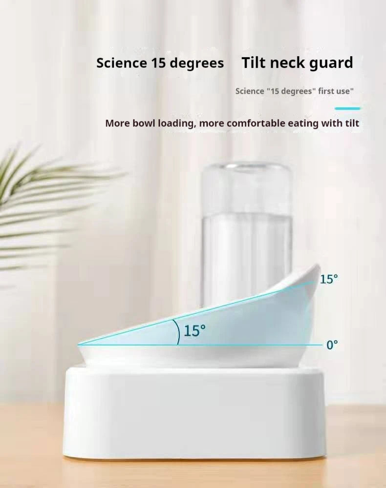 Tilted Pet Water and Food Bowl