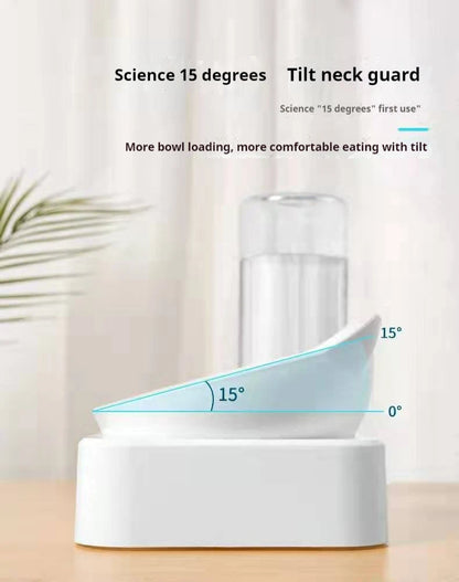 Tilted Pet Water and Food Bowl