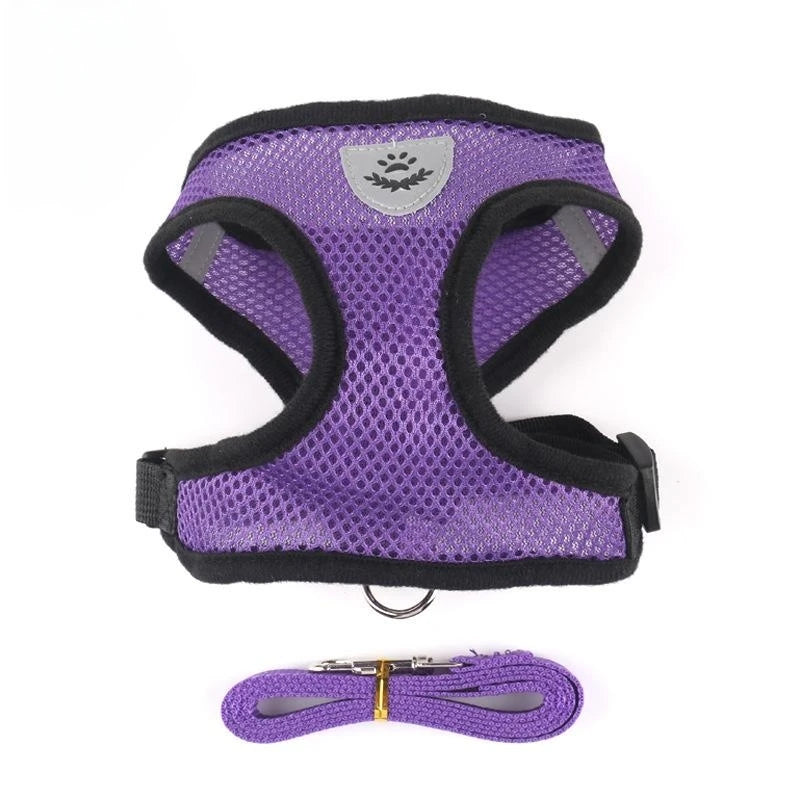 Pet Harness with Lead