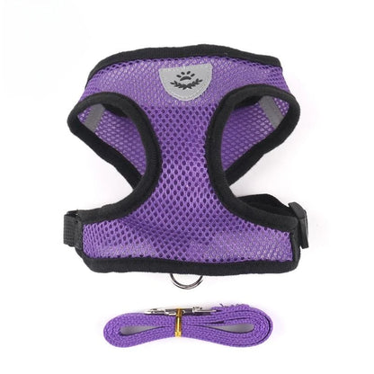 Pet Harness with Lead