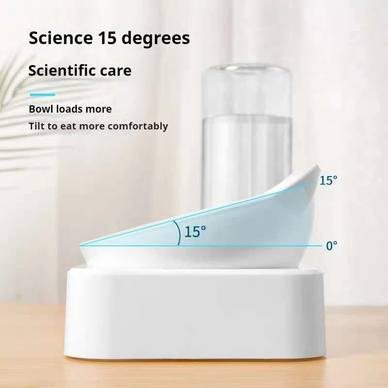 Tilted Pet Water and Food Bowl