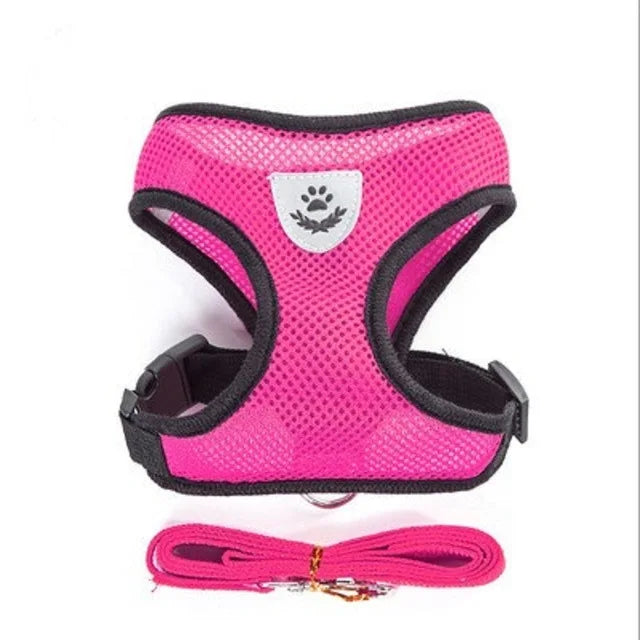 Pet Harness with Lead