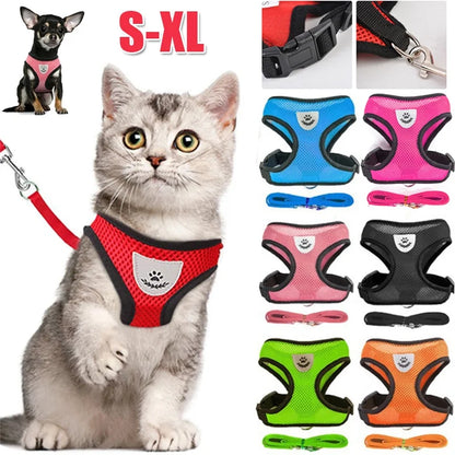 Pet Harness with Lead