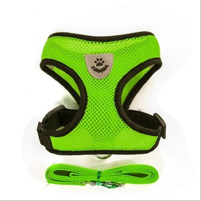 Pet Harness with Lead