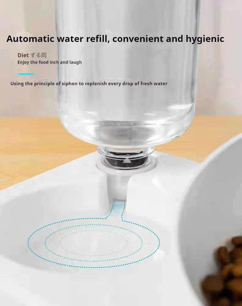 Tilted Pet Water and Food Bowl