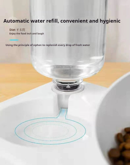 Tilted Pet Water and Food Bowl