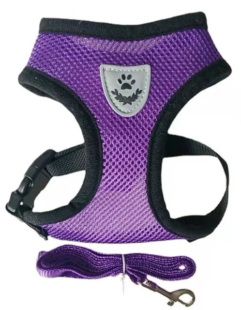 Pet Harness with Lead