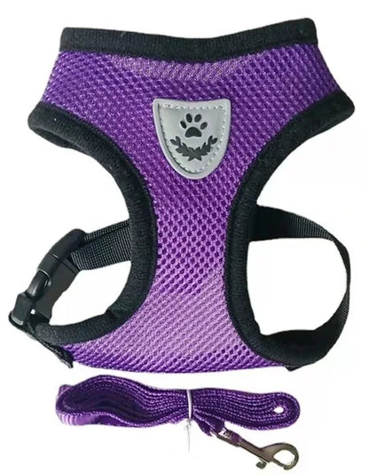 Pet Harness with Lead