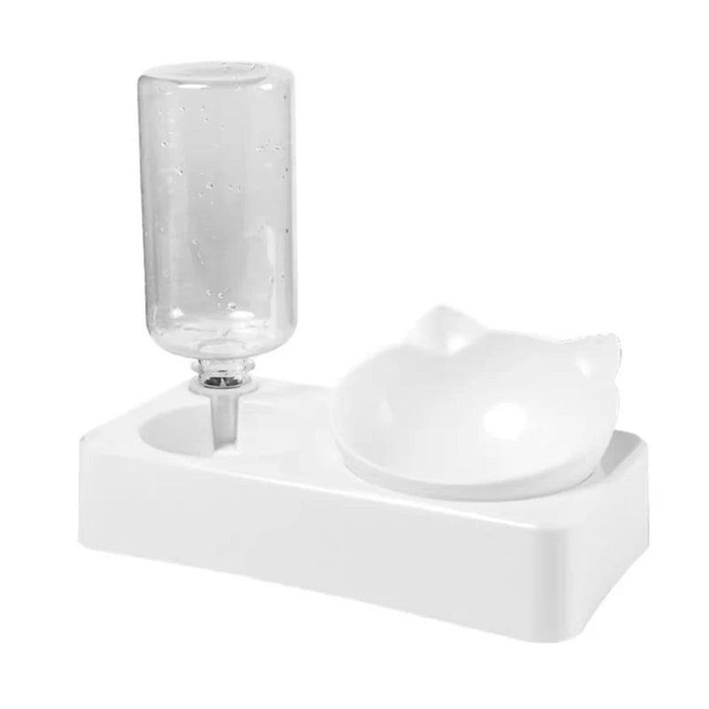 Tilted Pet Water and Food Bowl