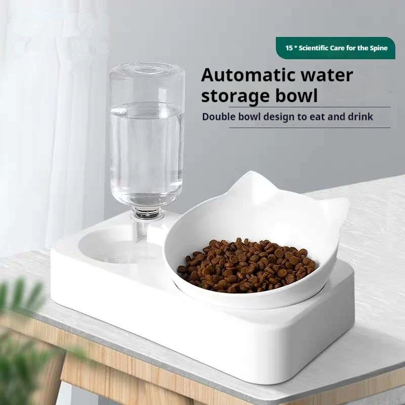 Tilted Pet Water and Food Bowl