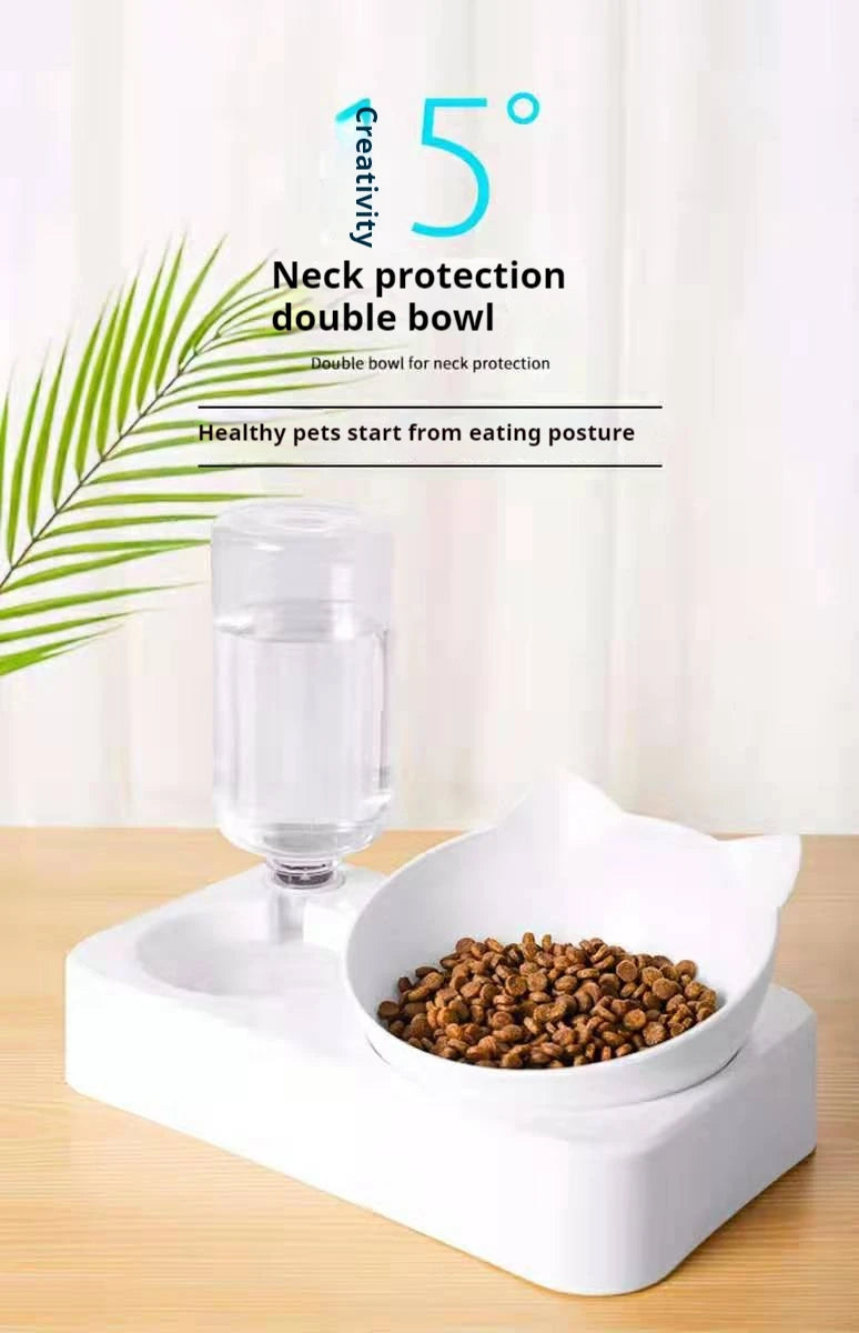 Tilted Pet Water and Food Bowl