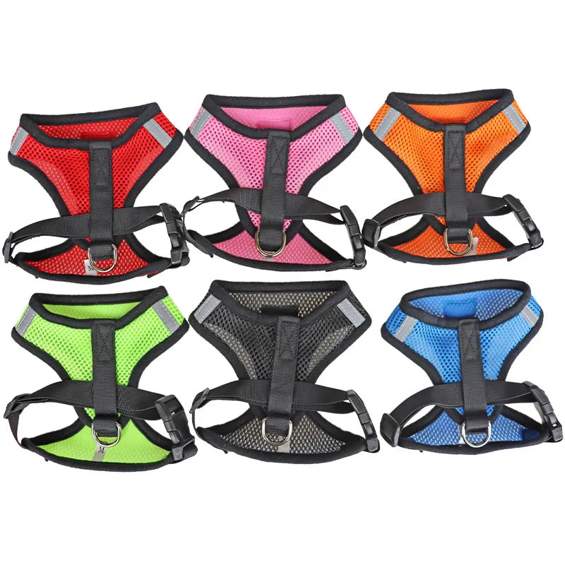 Pet Harness with Lead