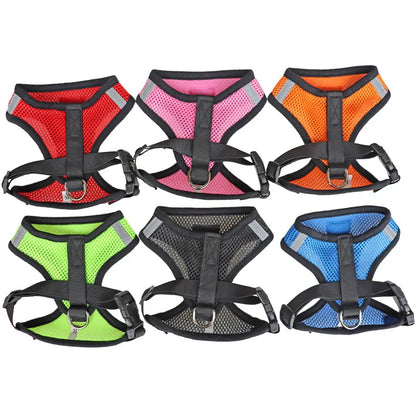 Pet Harness with Lead